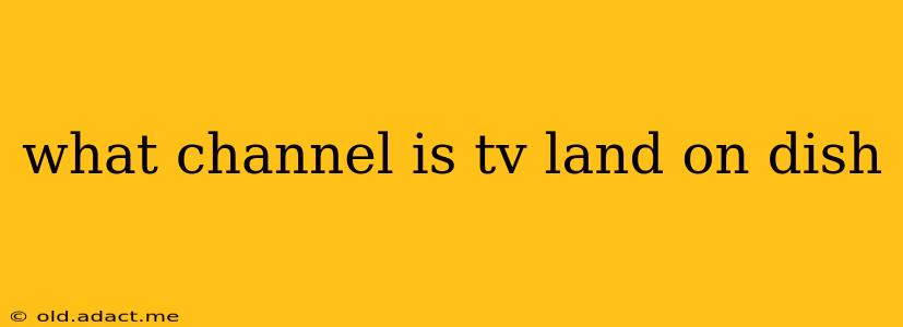 what channel is tv land on dish