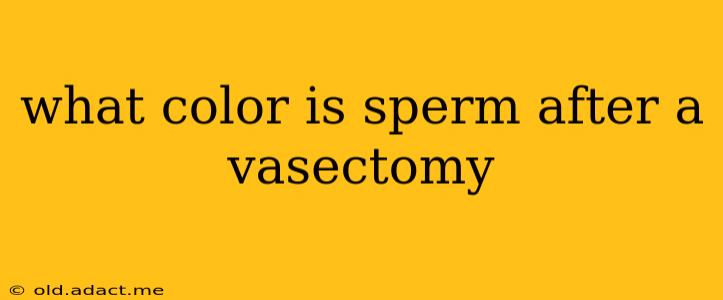 what color is sperm after a vasectomy