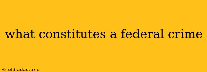 what constitutes a federal crime