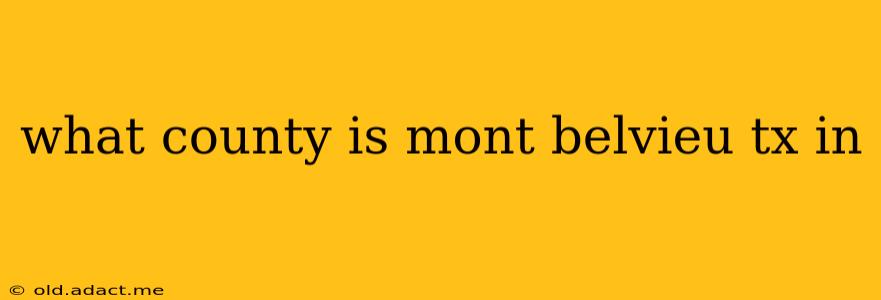 what county is mont belvieu tx in
