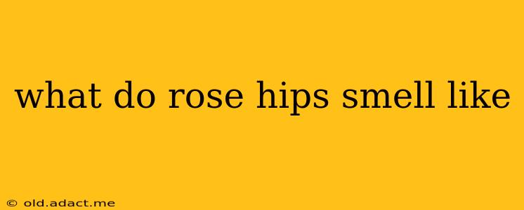 what do rose hips smell like