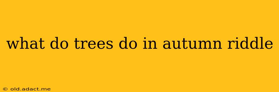 what do trees do in autumn riddle