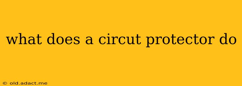 what does a circut protector do