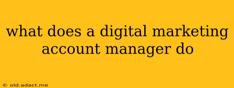what does a digital marketing account manager do