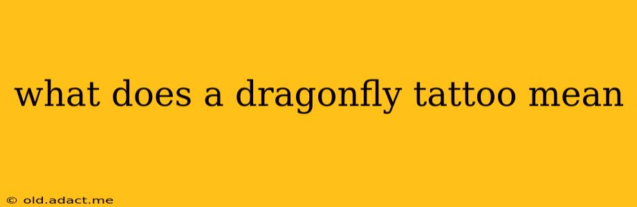 what does a dragonfly tattoo mean