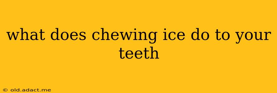 what does chewing ice do to your teeth