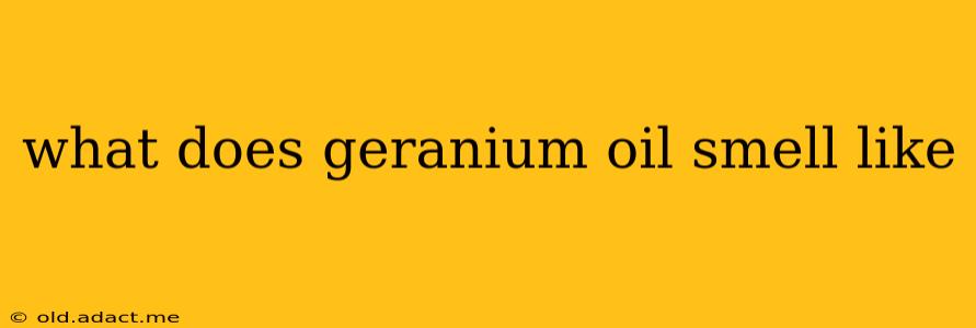 what does geranium oil smell like