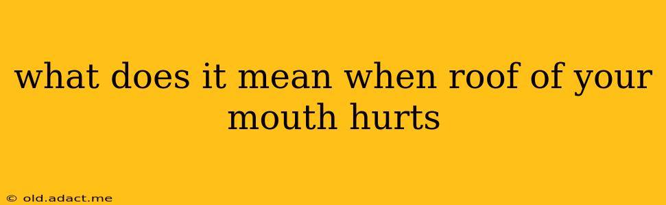 what does it mean when roof of your mouth hurts