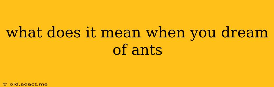 what does it mean when you dream of ants