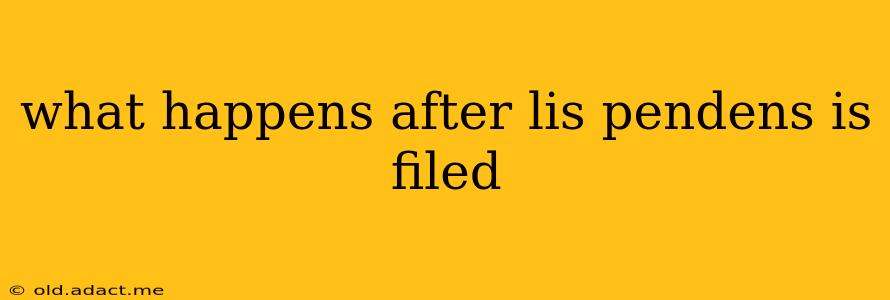 what happens after lis pendens is filed