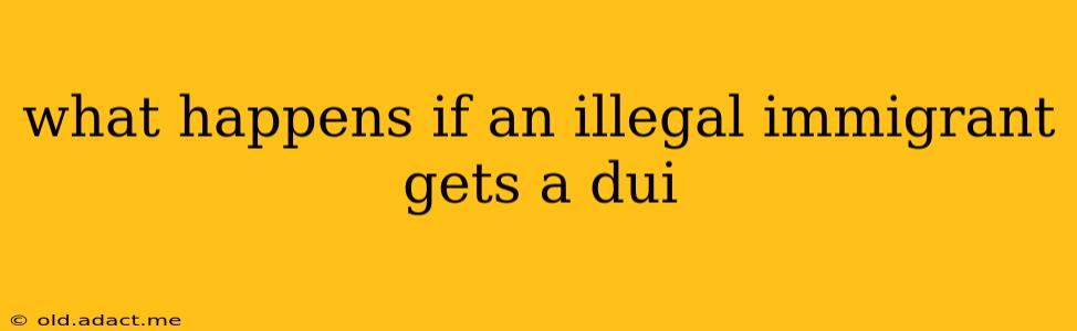 what happens if an illegal immigrant gets a dui