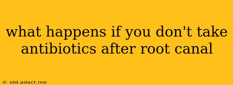 what happens if you don't take antibiotics after root canal