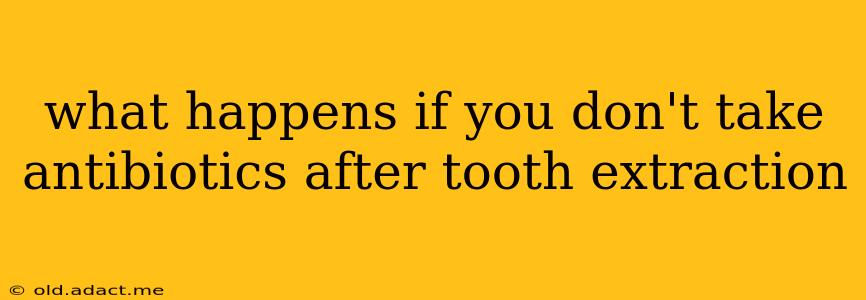 what happens if you don't take antibiotics after tooth extraction