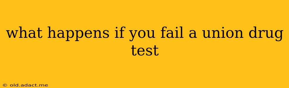 what happens if you fail a union drug test