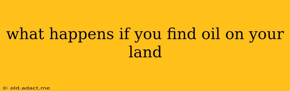 what happens if you find oil on your land