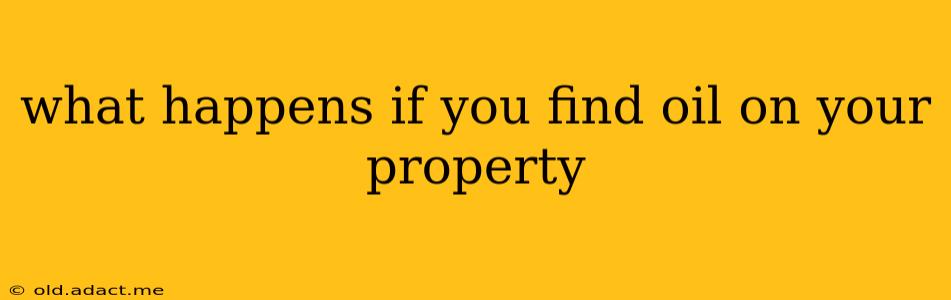 what happens if you find oil on your property