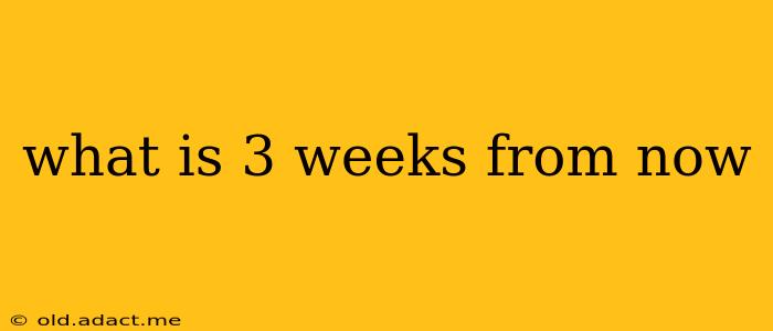what is 3 weeks from now