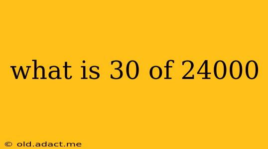 what is 30 of 24000