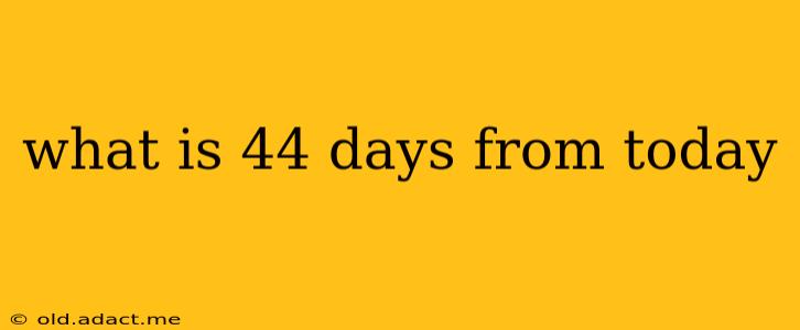what is 44 days from today