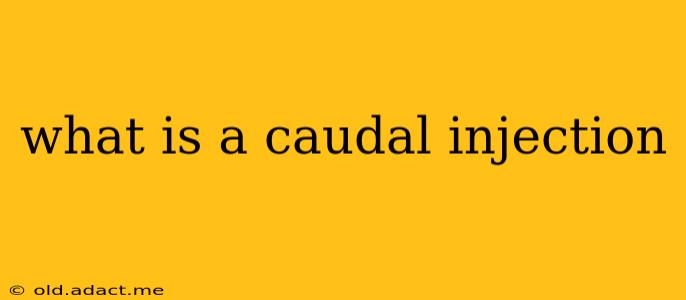 what is a caudal injection