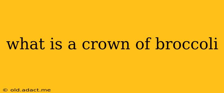 what is a crown of broccoli