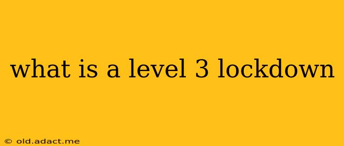 what is a level 3 lockdown