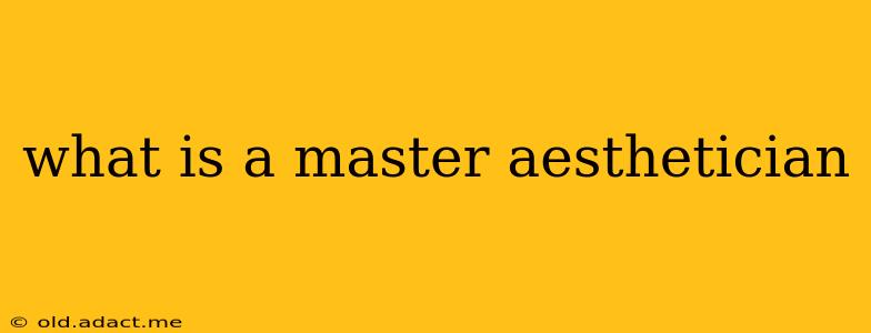 what is a master aesthetician