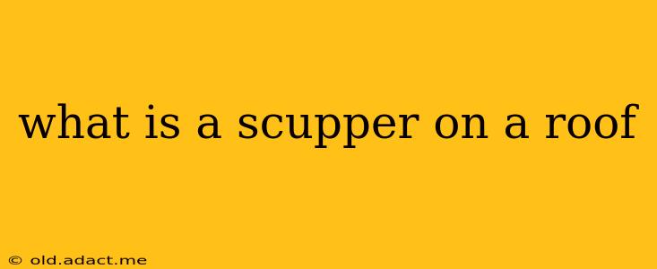 what is a scupper on a roof