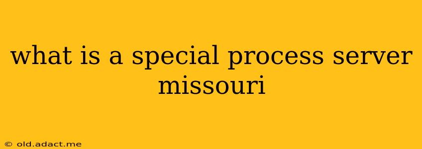 what is a special process server missouri