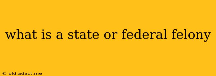 what is a state or federal felony