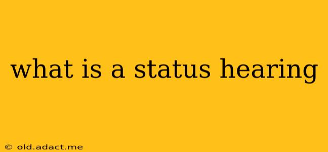 what is a status hearing