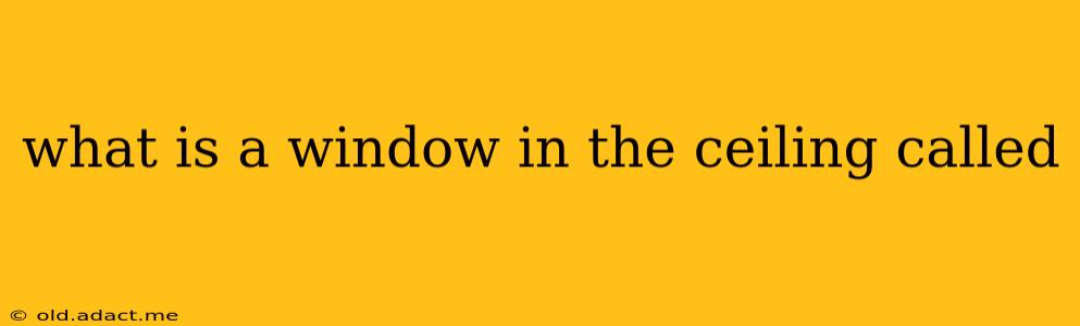 what is a window in the ceiling called