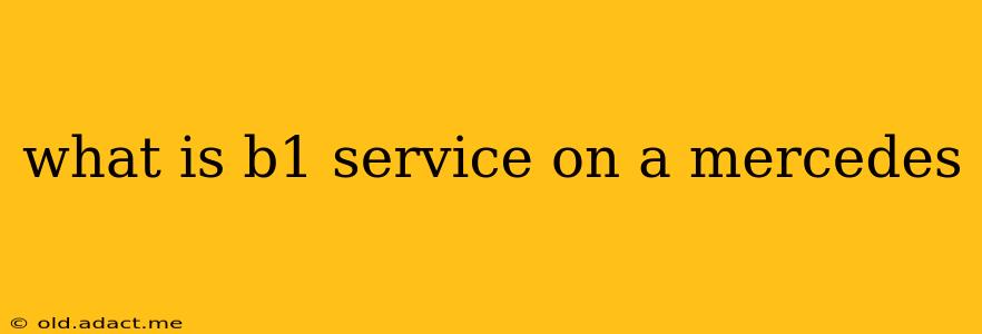 what is b1 service on a mercedes