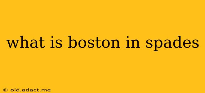 what is boston in spades