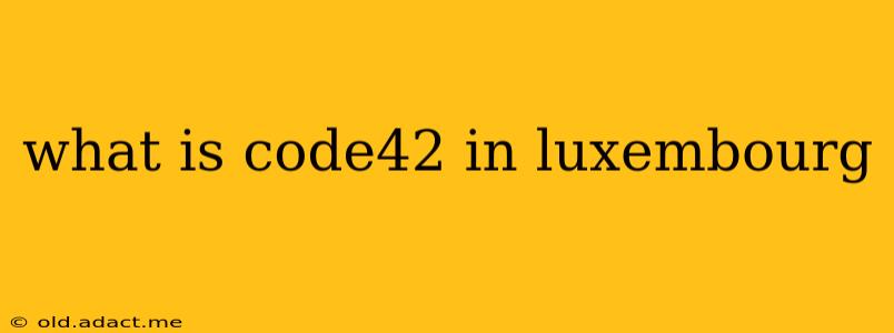 what is code42 in luxembourg