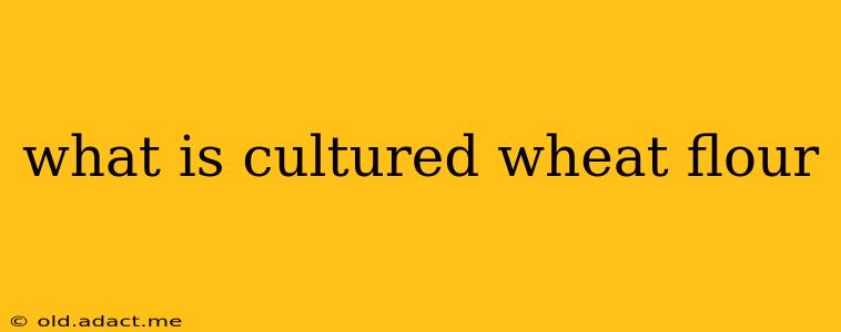 what is cultured wheat flour