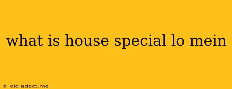 what is house special lo mein