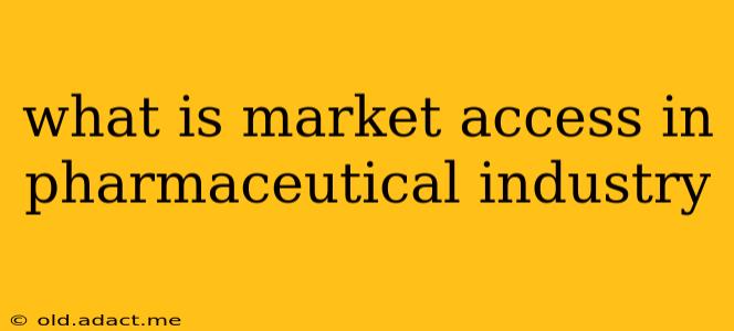 what is market access in pharmaceutical industry