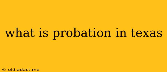 what is probation in texas