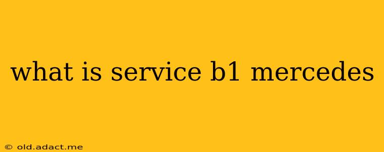 what is service b1 mercedes