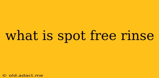 what is spot free rinse
