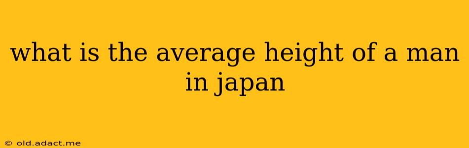 what is the average height of a man in japan