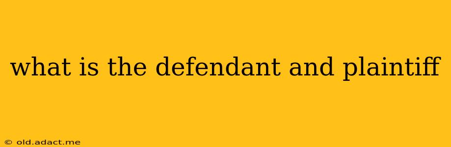 what is the defendant and plaintiff