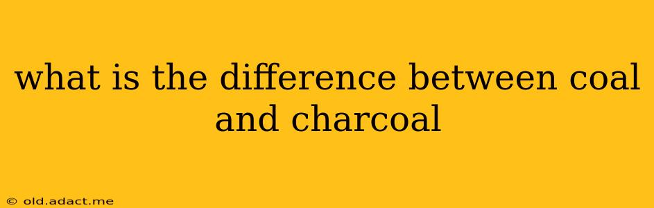 what is the difference between coal and charcoal