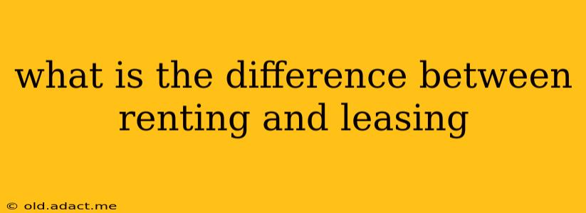 what is the difference between renting and leasing