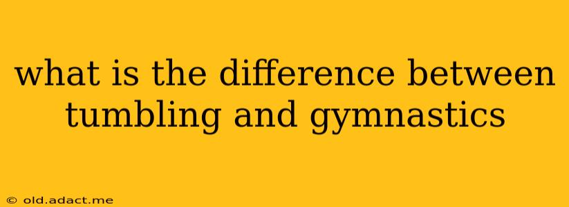 what is the difference between tumbling and gymnastics