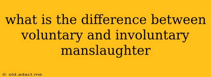 what is the difference between voluntary and involuntary manslaughter