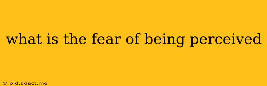 what is the fear of being perceived
