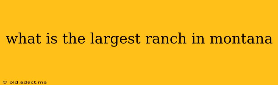 what is the largest ranch in montana