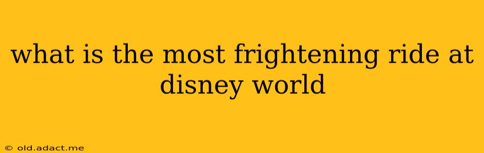 what is the most frightening ride at disney world